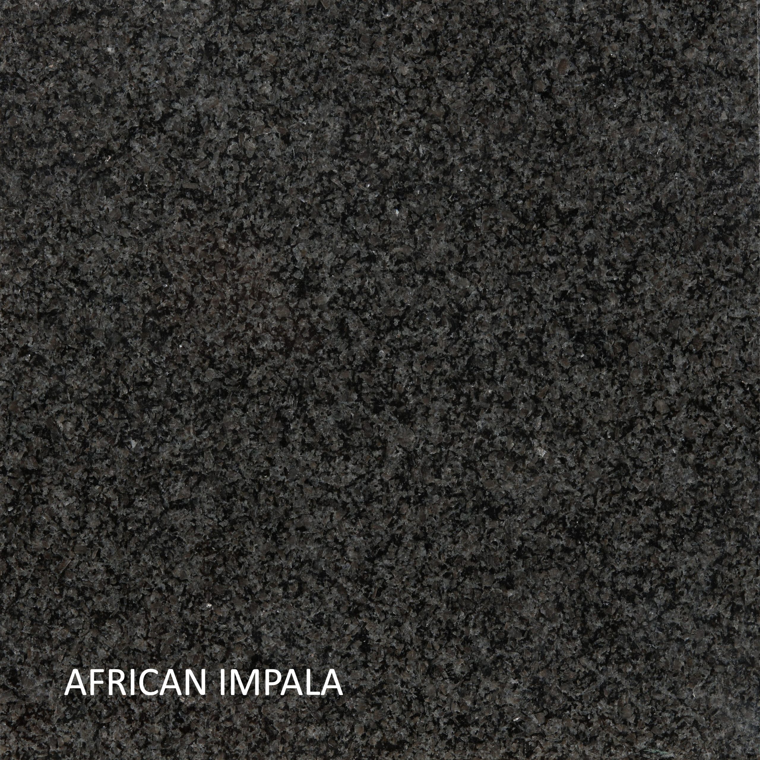 Negro-Africano-Impala