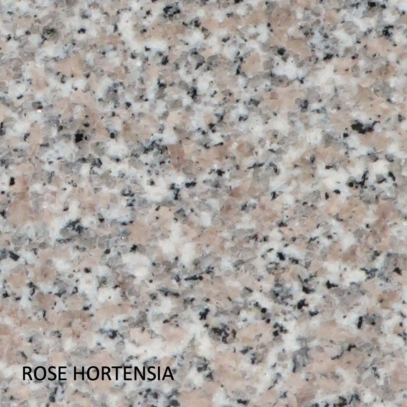 Rose-Hortensia