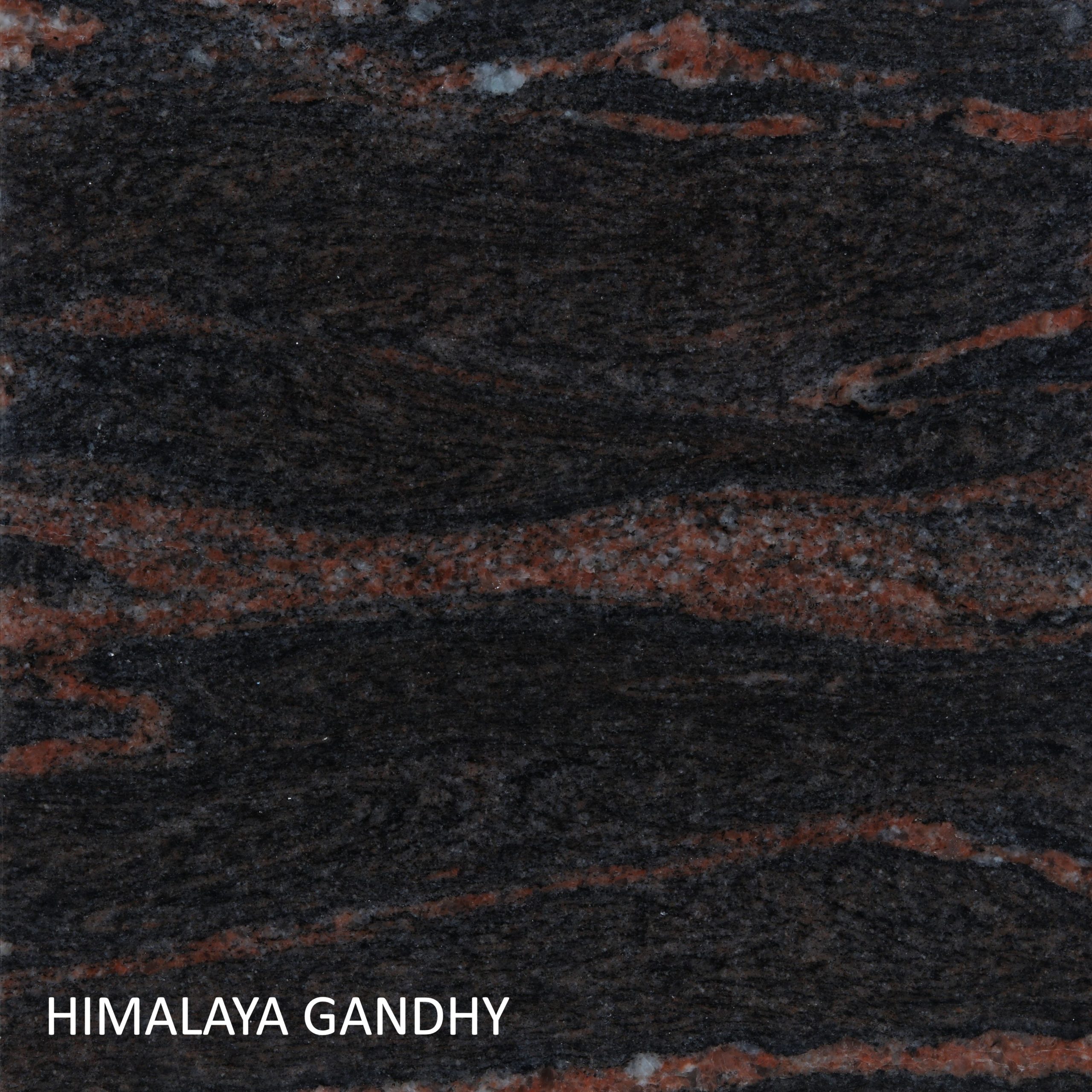 Himalaya-Gandhy